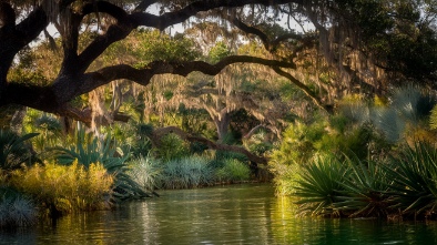 kanapaha botanical gardens