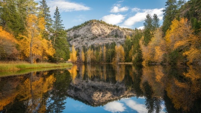 silver springs state park