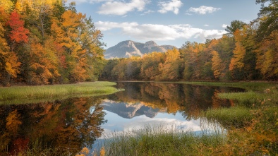 turkey creek sanctuary