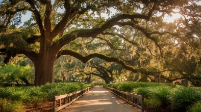 washington oaks gardens state park