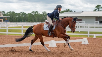 world equestrian center ocala